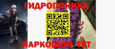 мдпв Гудермес