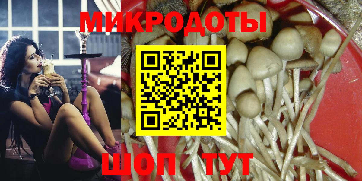 Галлюциногенные грибы Psilocybine cubensis  Вход с VPN  Бахчисарай 