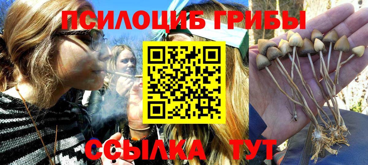 Галлюциногенные грибы Cubensis Бахчисарай